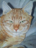 /album/tierisches/marz-10-045-jpg/